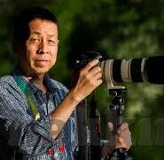麻豆av在线一区二区三区-数字平台规则下的娱乐界限，探索网络内容边界的辩证思考